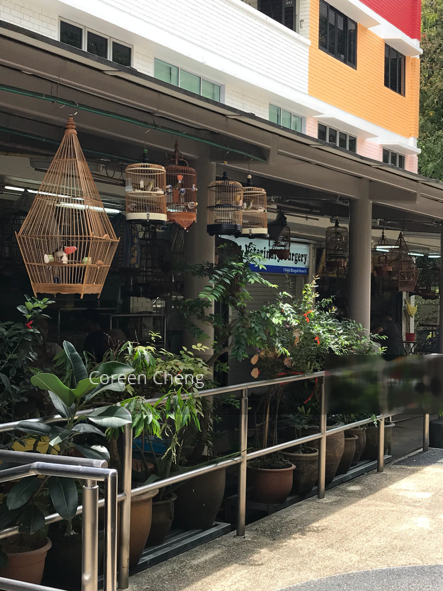 Telok Blangah Rise thumbnail photo